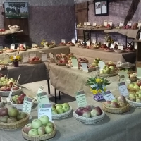 Ecomusée Expo fruitière 2017-1.JPG