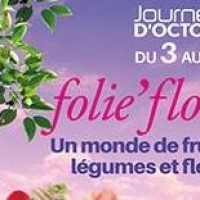 Folie Flore Mulhouse octobre 2019
