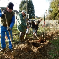 Plantation à Durmenach 2019