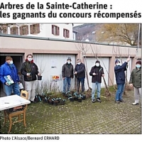 Photo Ste Cath 2020 Guebwiller.JPG