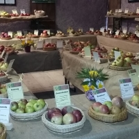 Ecomusée Expo fruitière 2017-2.JPG