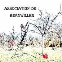 Bernwiller