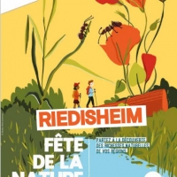 F NATUIRE RIED 1.jpg