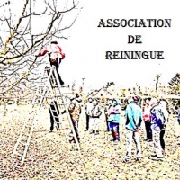 Asso Reiningue 1.JPG