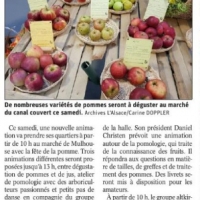 POMMES AU MARCHE.jpg