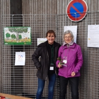 distri-arbres-18-11-2.jpg
