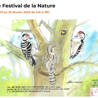 Festival-nature-Riedisheim.png