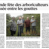 L'ALSACE DU 02 07 2024 SAUSHEIM.png