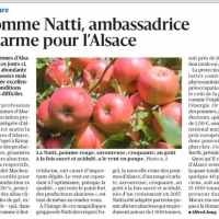 NATTI 19 09 2024.jpg