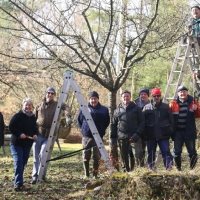 ce-samedi-ils-etaient-une-dizaine-de-l-association-des-arboriculteurs-de-pfetterhouse-et-environs-a-venir-prendre-soin-des-arbre.jpg