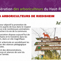 Presentation Riedisheim.png