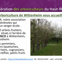 Presentation-page1.png