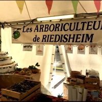journées d'automne 06 et 07 09 2025.jpg