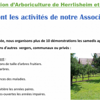 Herrlisheim-page1.png