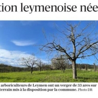 LEYMEN 01 03 2026.jpg