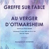 GREFFE SUR TABLE 27 03 2026.jpg